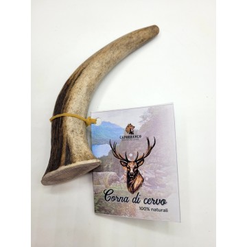 Antler Corna di Cervo 100% Naturale